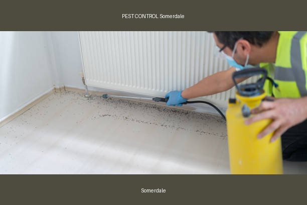 PEST CONTROL Somerdale